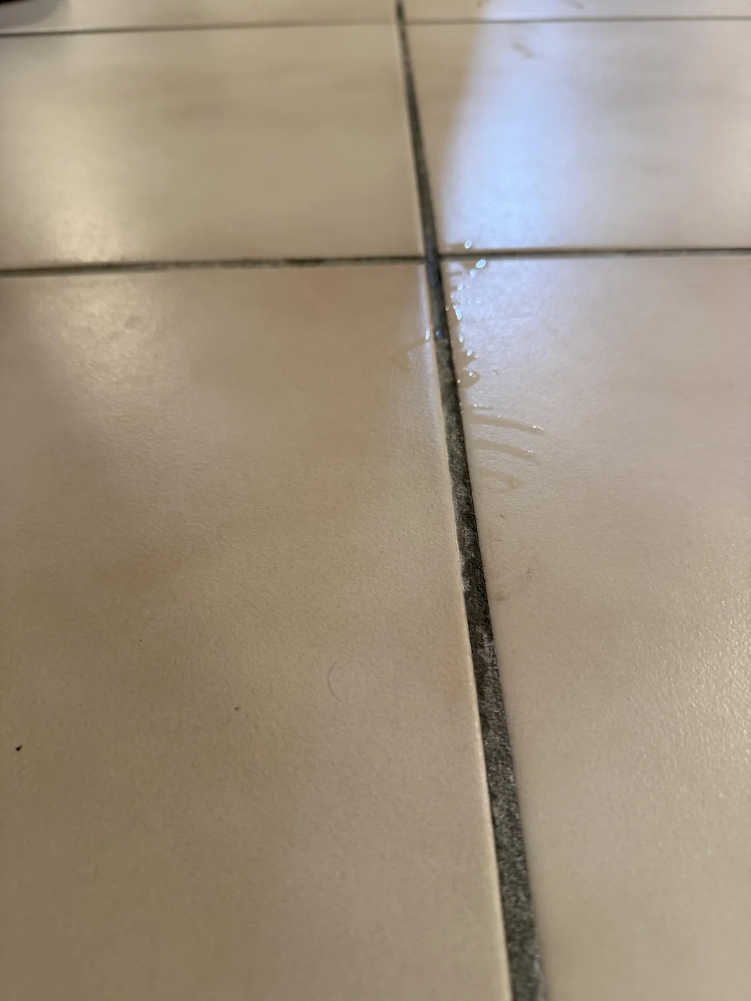 Small amount of water collecting along intersecting grout lines between basement floor tiles