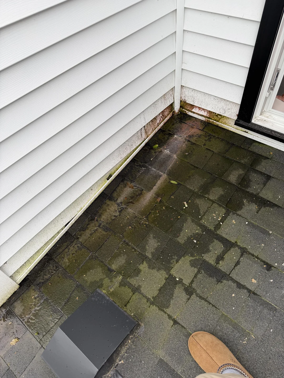Lower shingle roof with a wet path and dark green surface discoloration beside exterior siding